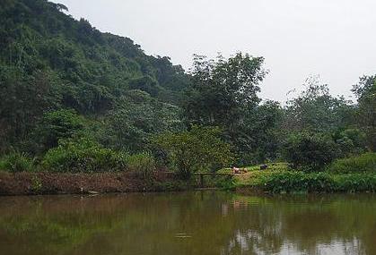加笼坪热带季雨林旅游区