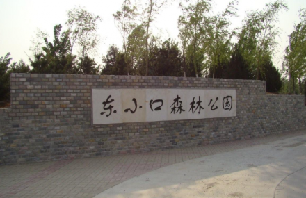 东小口森林公园