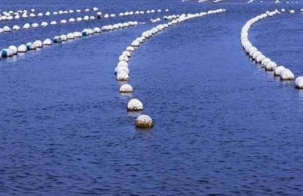 洲子湾海水浴场