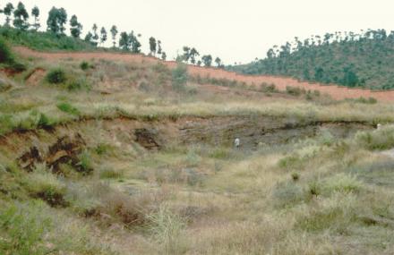 腊玛古猿化石产地