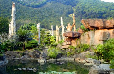 仙湖化石森林