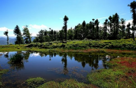 龙肘山