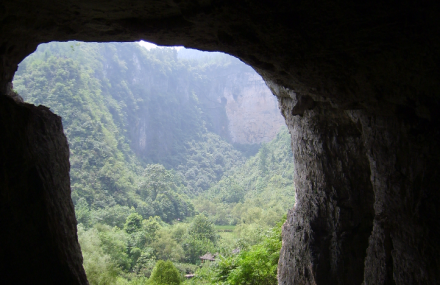 大酉洞