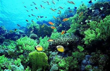 青岛海底世界热带雨林区