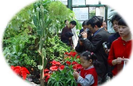热带亚热带植物展览温室