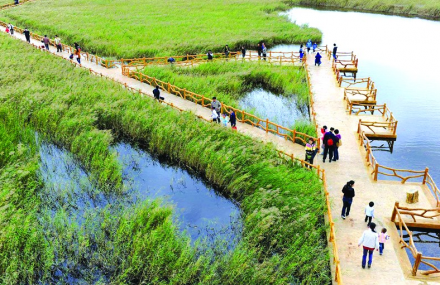 黄河口湿地生态园