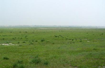 阿古拉草原