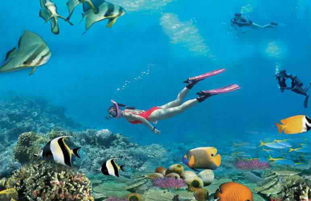 大东海堡礁潜水