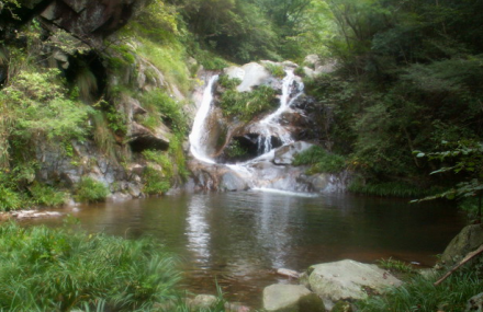 黄冈桃花冲森林公园