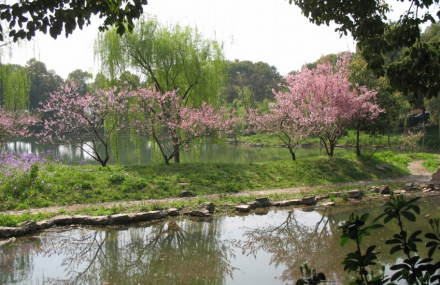 太湖花卉园